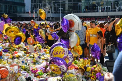 DSC_7203 (Large).JPG